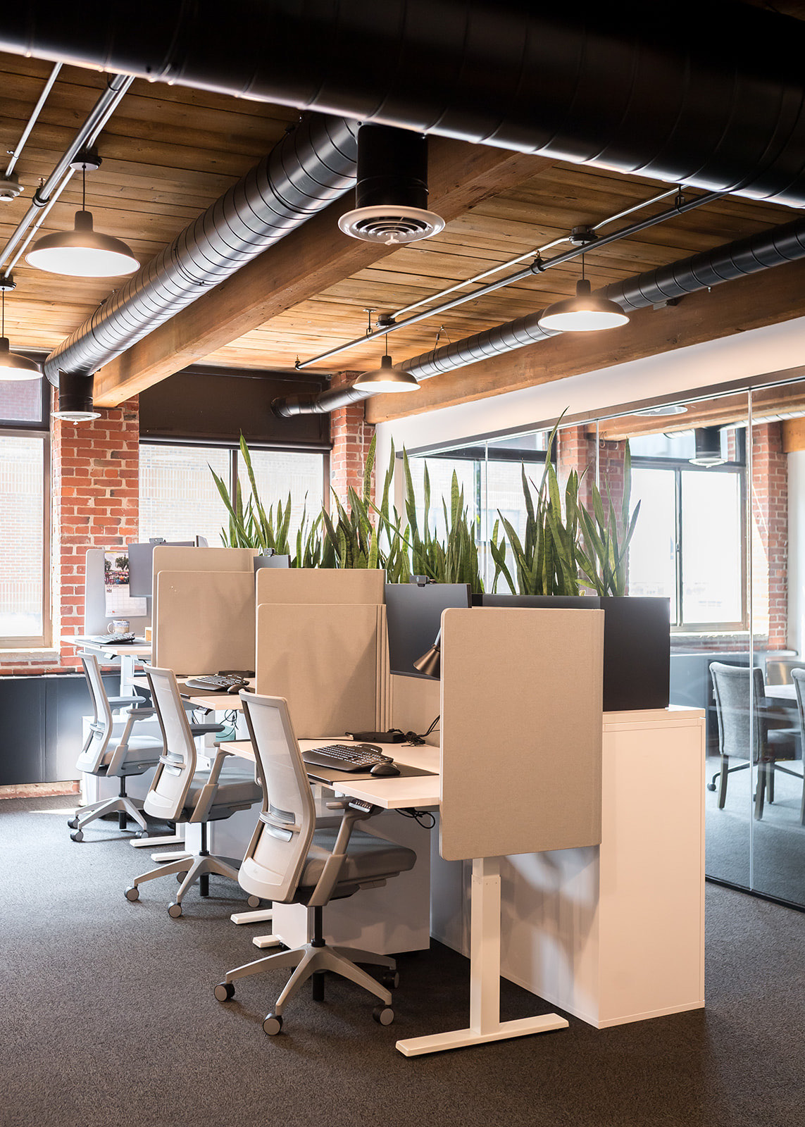 Open-plan suite with desk pods and planters along brick window walls
